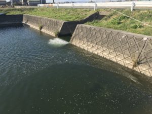 釣り場情報no 04 柳川クリーク 福岡県 柳川市のバス釣りポイントを紹介 柳川クリークの釣り場情報 B Life