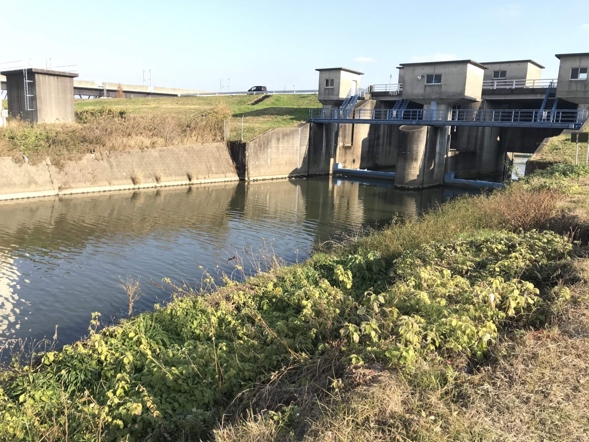 釣り場情報no 06 筑後川水系 福岡県 筑後川の支流に当たる沼川 バス釣りポイントを紹介 筑後川水系の釣り場情報 B Life