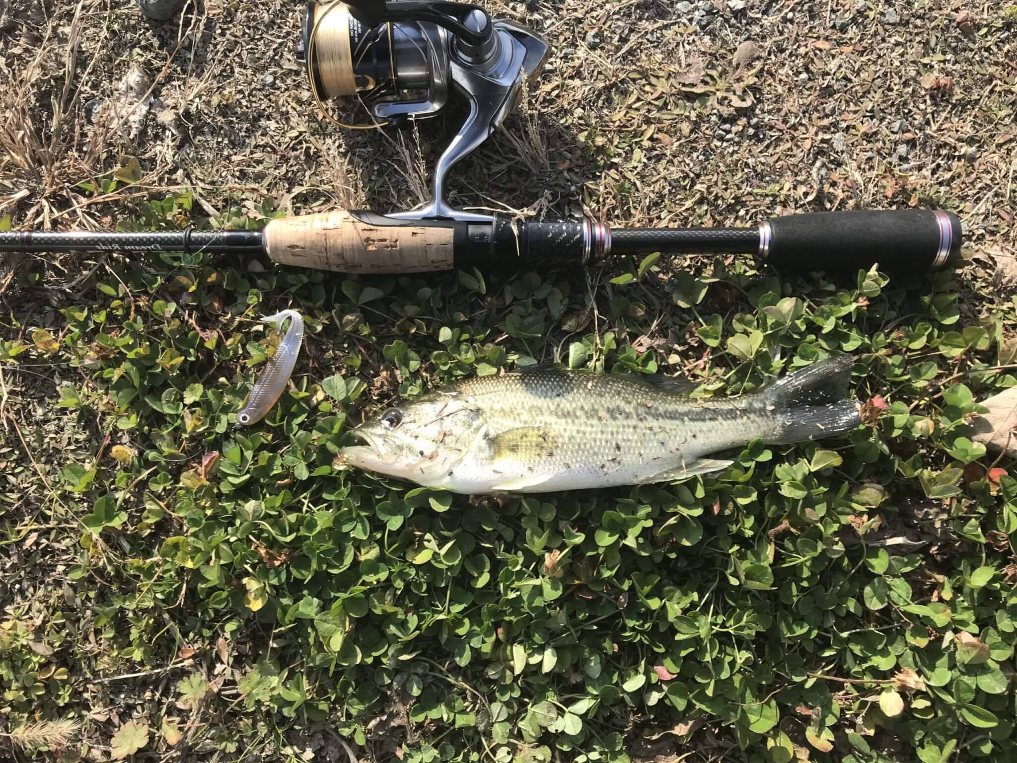 釣行日記 暖冬は釣れやすい 12月中旬の大木クリークにバス釣り行ってみた 冬のブラックバスを攻略 R Box