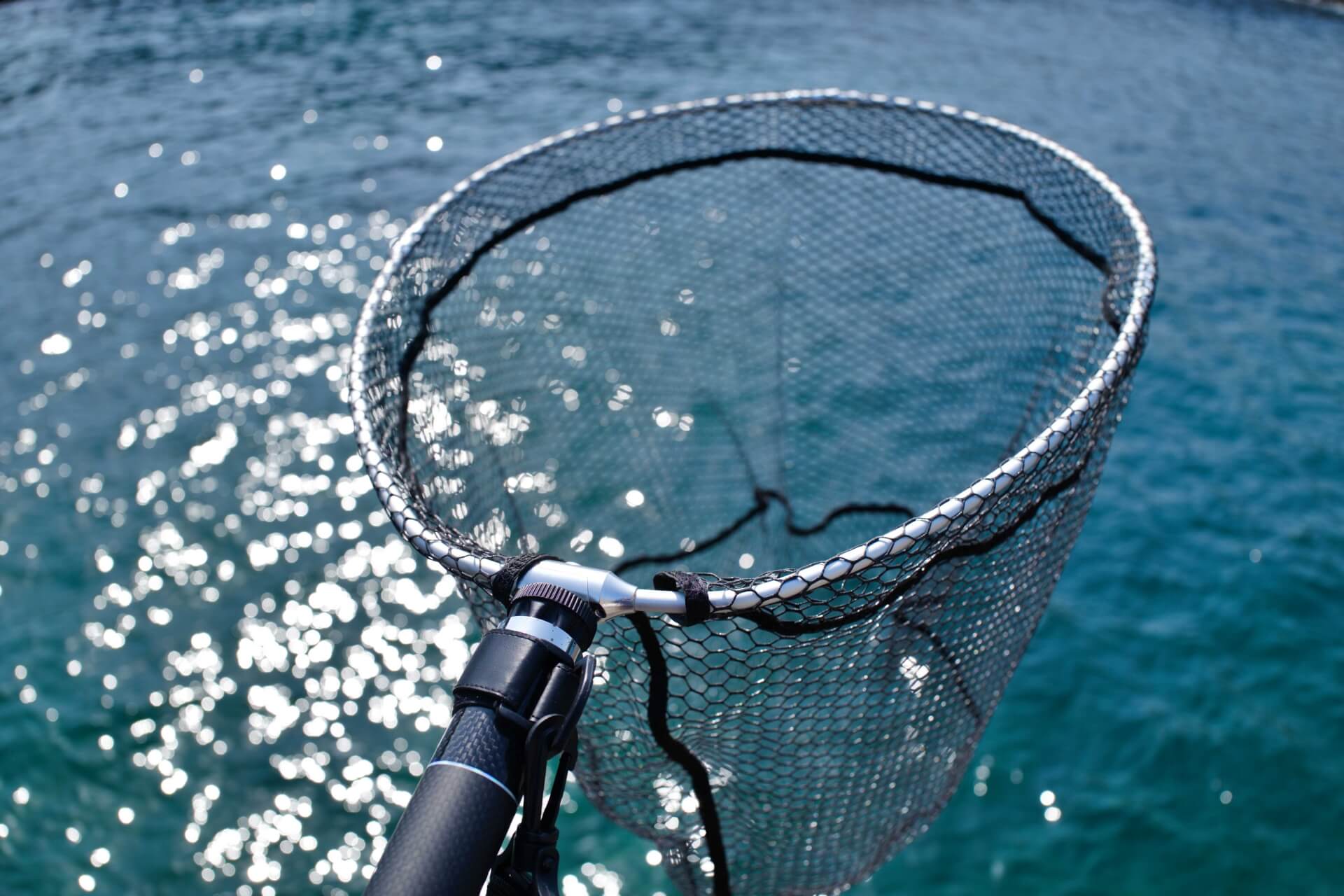 最大51％オフ！ 折りたたみ漁網 キャンプ釣り用の折りたたみ耐久性のある釣りランディングネット limoroot.com